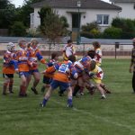 Tournoi des écoles de rugby.