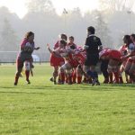 Sud Alsace - St Geneviève des Bois