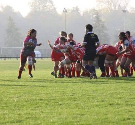 Sud Alsace - St Geneviève des Bois
