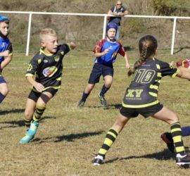 Ensisheim - Mulhouse